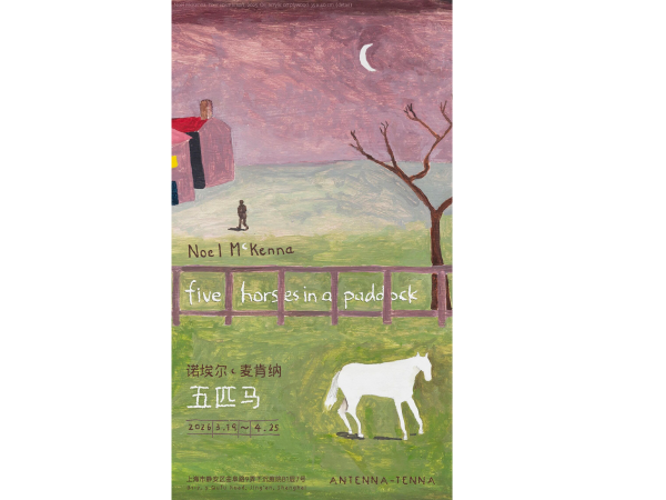 诺埃尔·麦肯纳：五匹马