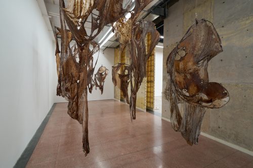 李美来，Seven Skin Sculptures from Open Wound，2024