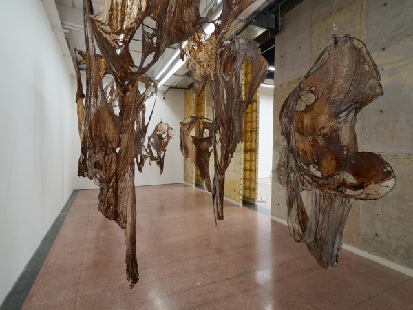 Mire Lee, Seven Skin Sculptures from Open Wound, 2024