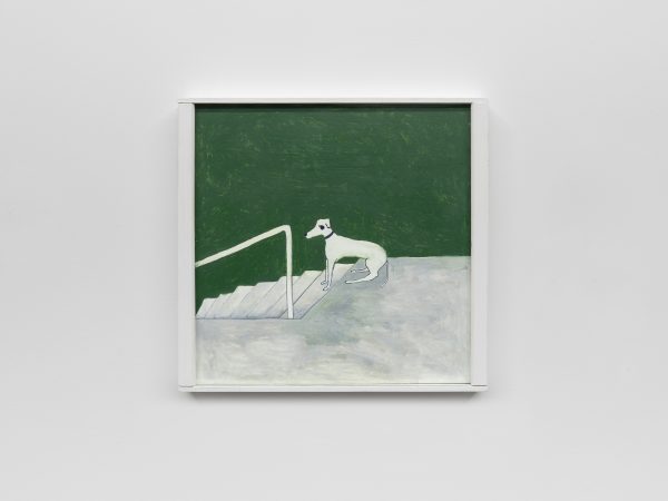 Noel McKenna, dog on stairs, 2025