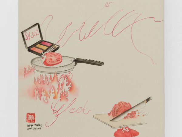 Evelyn Taocheng Wang | Sweet Landscape, Museion, Bolzano, IT