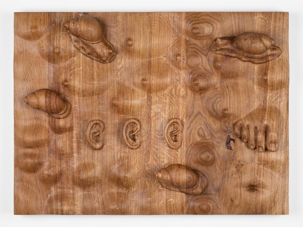 Daniel Dewar & Grégory Gicquel, Oak Relief with Body Fragments and Snails, 2021