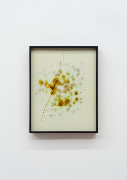 Peng Zuqiang, Untitled (Second Burning) #1, 2025