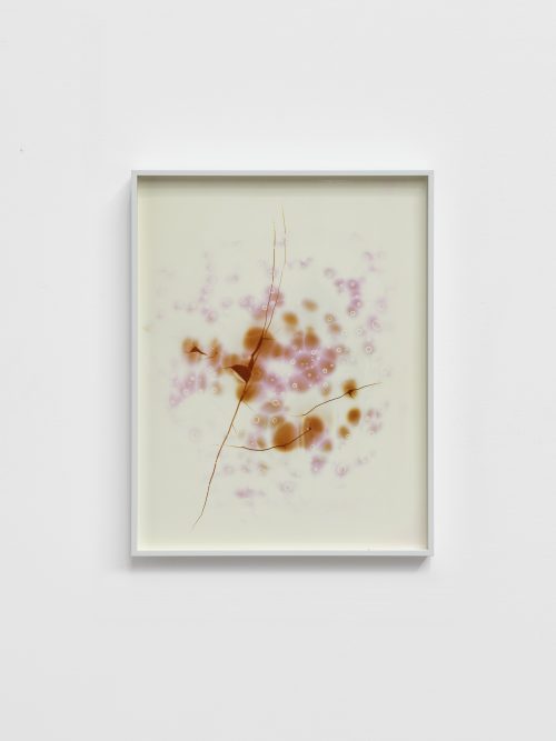 Peng Zuqiang, Untitled (Second Burning) #2, 2025